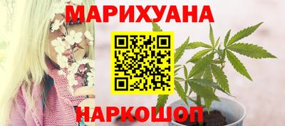 гидра Пушкино