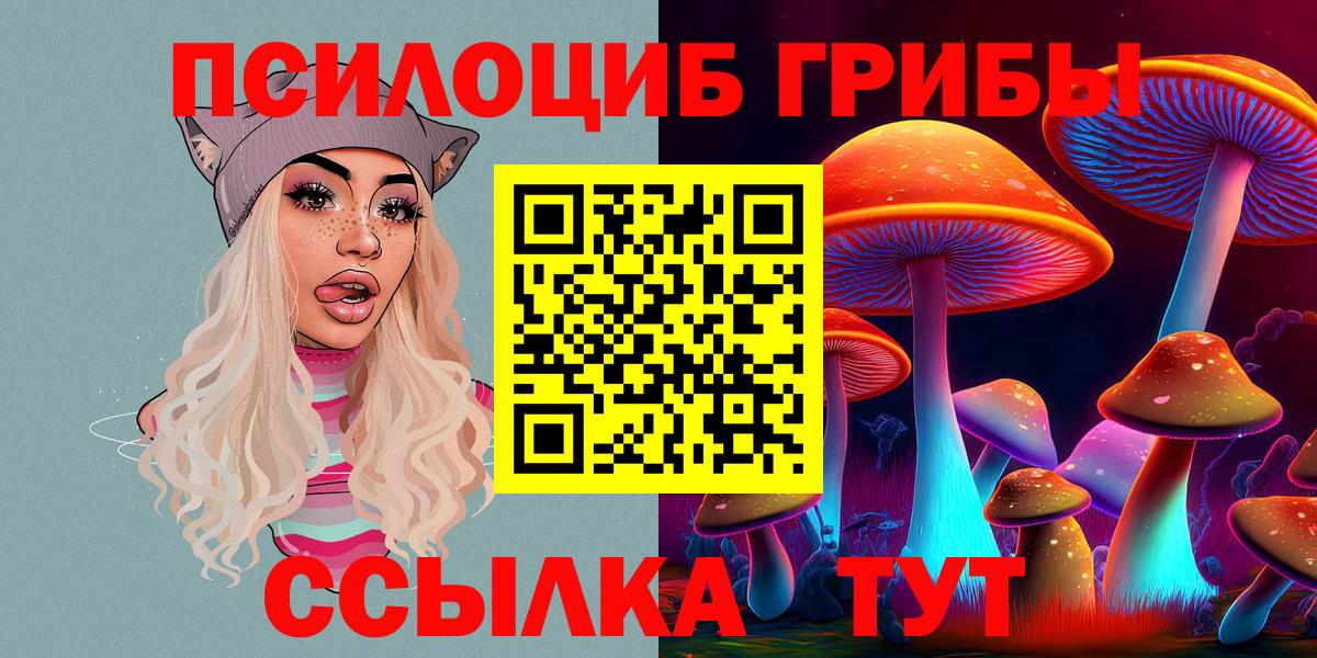 Галлюциногенные грибы ЛСД  купить наркотики цена  Тимашёвск  Галлюциногенные грибы Cubensis  Вход с VPN 
