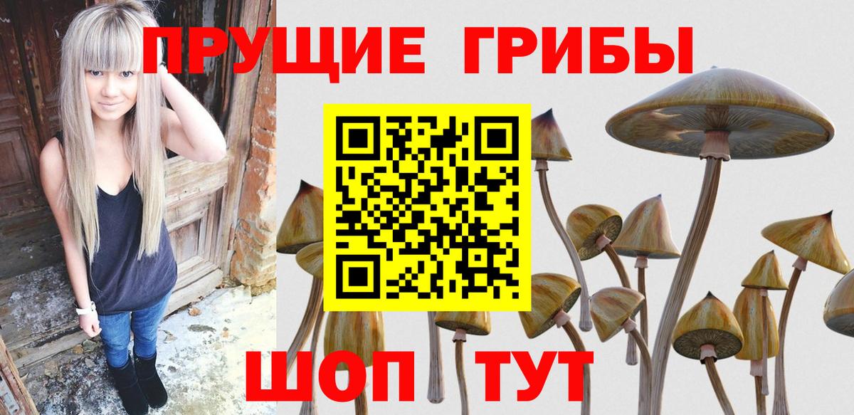 Псилоцибиновые грибы мухоморы Тимашёвск